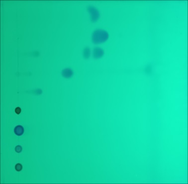 background reconstruction image 1